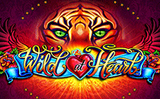La slot machine Wild at Heart